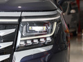 瑞风RF8 PHEV 图片