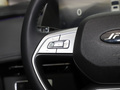 瑞风RF8 PHEV 图片