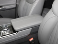瑞风RF8 PHEV 图片
