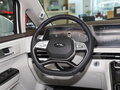 瑞风RF8 PHEV 图片