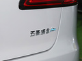 繽果SUV 圖片