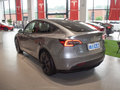 Model Y 图片