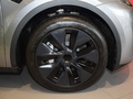 Model Y 图片