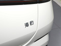 海豹 图片