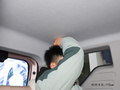 吉利熊貓 圖片