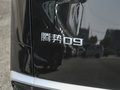 騰勢(shì)D9 圖片