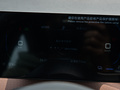海鸥 图片