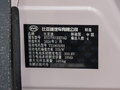 海鸥 图片