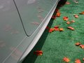 寶馬M3 M3 4.0 V8 雙門敞篷 2009款圖片