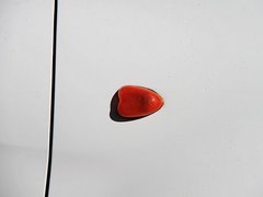 海马王子 2010款 1.0 手动 标准型