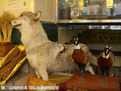 一汽马自达  马自达8 2.3 AT