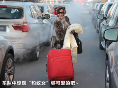宝马(进口)  X3 xDrive35i