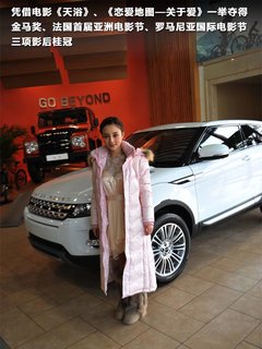 路虎 极光 2.0T AT