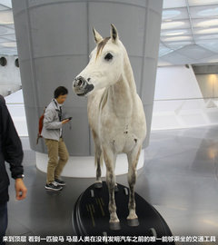 奔驰(进口)  A 250