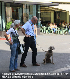 奔驰(进口)  A 250