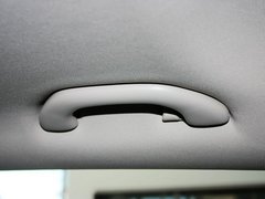 Polo 2012款 Cross Polo 1.6L AT 