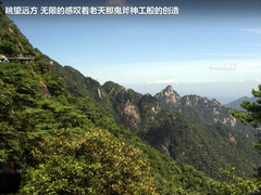 奔馳(進口)  ML 350 4MATIC