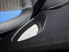 福克斯（进口） 2013款 ST 2.0T 手动 橙色版
