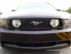 福特(进口)  野马 5.0 AT