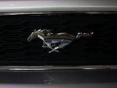 Mustang 2013款 3.7L 自动 标准型