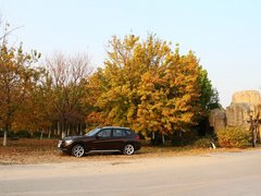 宝马X1 2013款 sDrive18i 2.0L 运动设计套装 5座