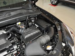 狮跑 2013款 2.0 DLX 自动两驱 5座