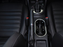 甲壳虫 2014款 1.4TSI DCT R-Line
