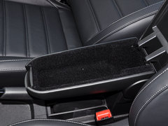 Polo 2015款 1.6L 自动 30周年纪念版