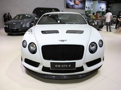 欧陆 2015款 4.0T GT3-R
