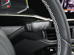 探岳 2019款 380TSI 四驱尊贵型 国V