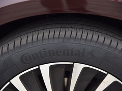 威然 2020款 380TSI 旗舰版