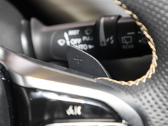 传祺GS8 2022款 领航系列 2.0TGDI 两驱豪华智联版6座 