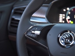 柯迪亚克 2022款 TSI330 5座两驱奢享版