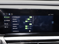 羿 2021款 500km 光耀豪华 长续航版