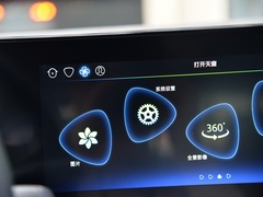 羿 2021款 500km 光耀豪华 长续航版