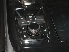 领睿 2023款 EcoBoost 170 铂领型