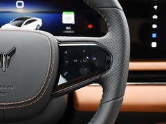 岚图追光 2024款 PHEV 四驱超长续航旗舰版