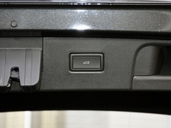 探岳 2024款 300TSI 两驱豪华Plus进阶版