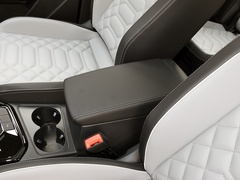 探岳 2024款 300TSI 两驱豪华Plus进阶版