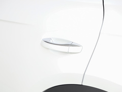 T-ROC探歌 2024款 300TSI DSG两驱辰光版
