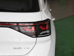 T-ROC探歌 2024款 300TSI DSG两驱辰光版