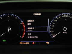 T-ROC探歌 2024款 300TSI DSG两驱星光版
