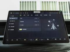 腾势D9 2024款 PIONEER 四座创领版