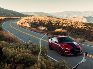 福特(进口) Shelby GT500