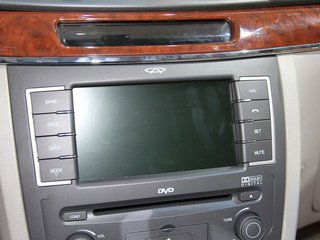 瑞麒 瑞麒 G6局部