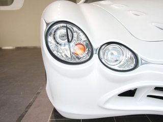 大蛇 3.3 AT 豪华型 2010款 试驾