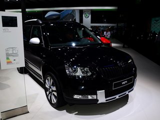 Yeti（进口）图片