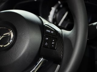 Mazda3(进口)图片