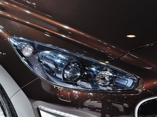 标致308(进口)图片