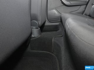 桑塔纳·尚纳图片